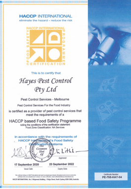 HACCP Certificate image